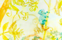 Thumbnail of 